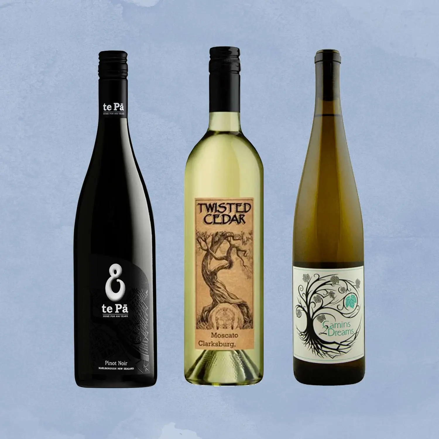 te Pa pinot noir, Twisted Cedar moscato, and Camin 2 Dreams gruner veltliner bottles against light blue background