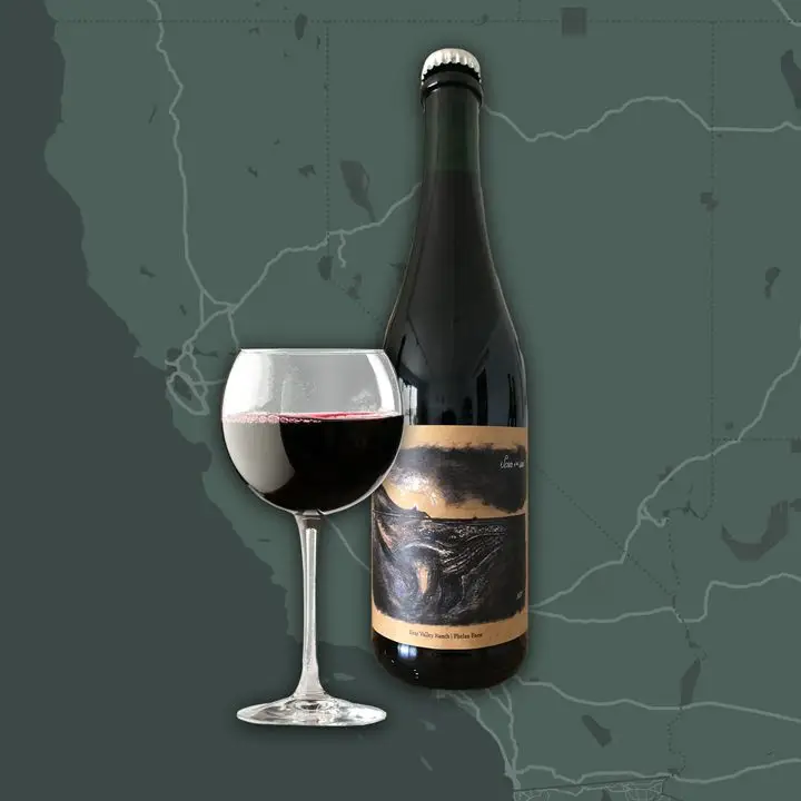 Fruit-grape blend wine