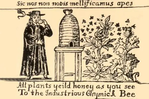 A medieval painting of a beekeeper, with black ink on yellow parchment. A top, the words sic nos non nobis mellificamus apes. A black-robed clergyman holds honeycomb next to a hive as bees fly towards tall flowers. The bottom text reads All plants yeild honey as you see to the industrious Chymick Bee