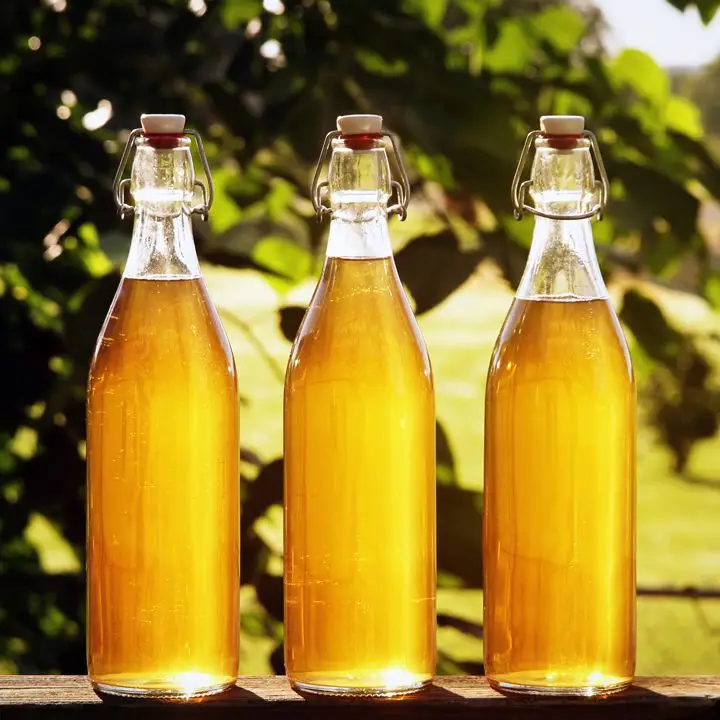 Three bottles of golden mead are showcased in see-through glass bottles. They sit outdoors in bright sunlight, with an out-of-focus tree branch in the background