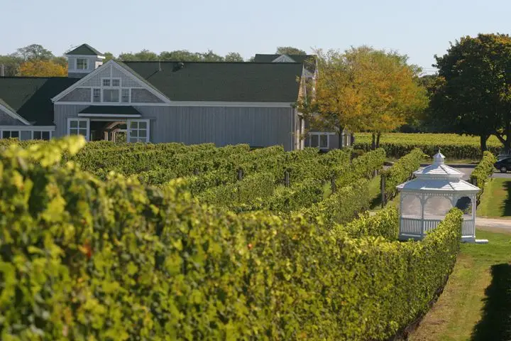 Long Island wine region