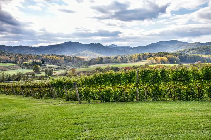Monticello wine trail