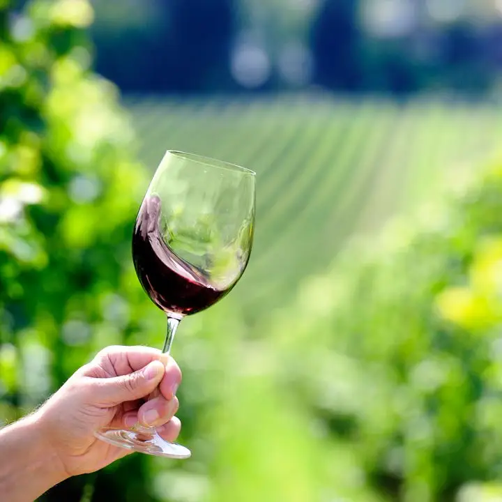 Por que você deveria estar bebendo vinhos da costa leste agora e quais garrafas tentar