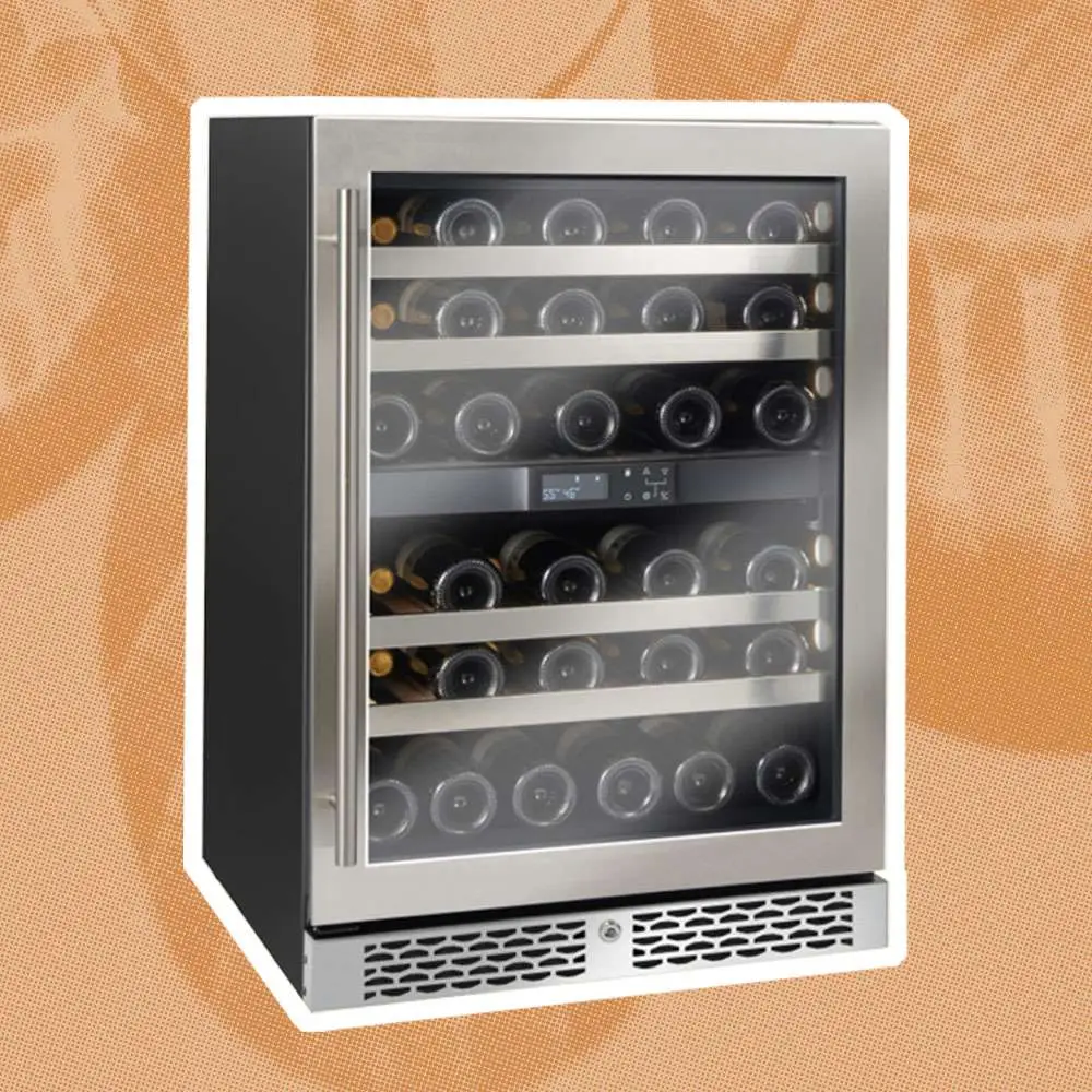 The 8 Best Wine Fridges of 2022, According to Experts