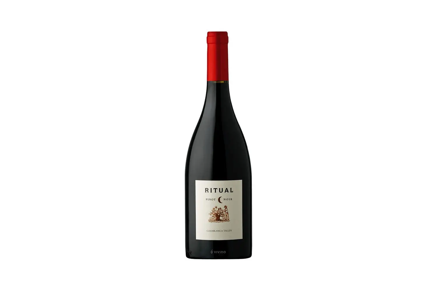 Ritual-casablanca-valley-pinot-noir-2016