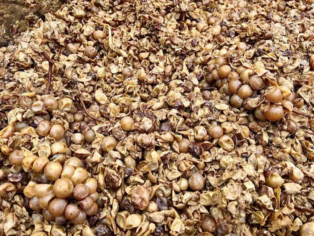 Field Recordings Andrew Jones