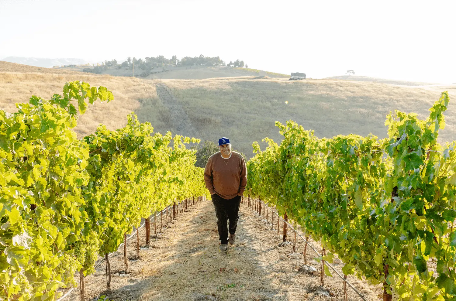 Como a Califórnia está criando sua própria opinião sobre o vinho laranja