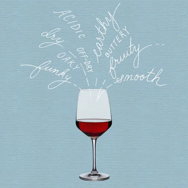 Wine terms illustration