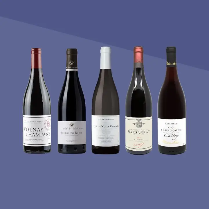 Red Burgundy bottles