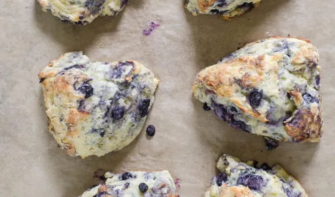 Blueberry scones fresh from the oven on a parchment-lined baking sheet.' title='Easy Blueberry Greek Yogurt Scones Recipe with Lemon
