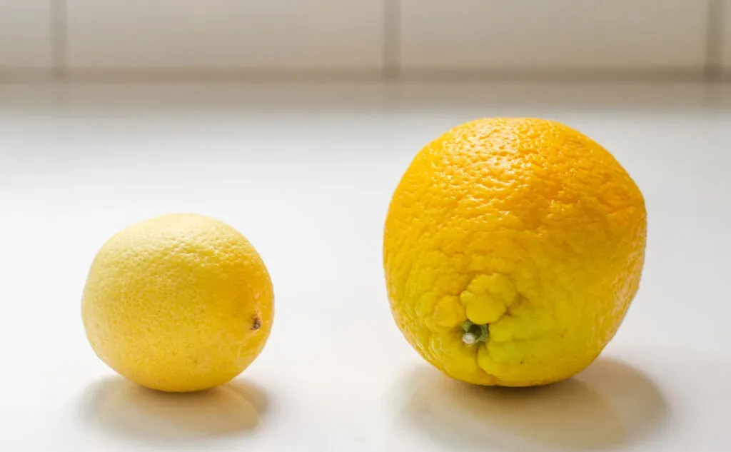 A lemon and an orange on a countertop.' title='Blueberry Oatmeal Recipe