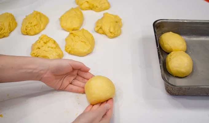 Shaping the pumpkin sourdough dinner rolls into balls. ' title='Pumpkin Sourdough Dinner Rolls