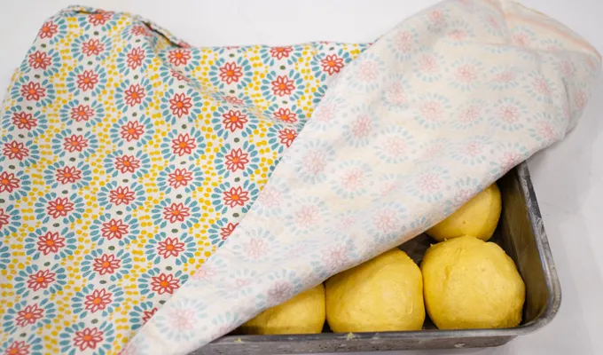 Covering the pan with a tea towel.' title='Pumpkin Sourdough Dinner Rolls