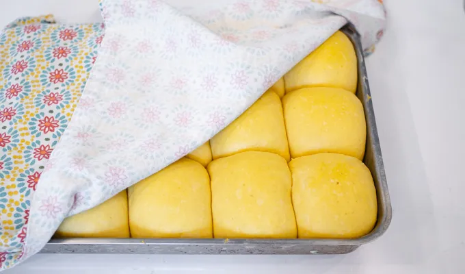 The pumpkin rolls after the second rise. ' title='Pumpkin Sourdough Dinner Rolls