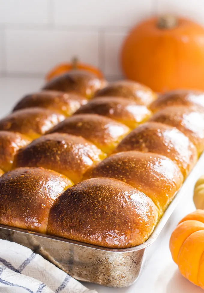 A pan of pumpkin sourdough dinner rolls brushed with butter.' title='Pumpkin Sourdough Dinner Rolls