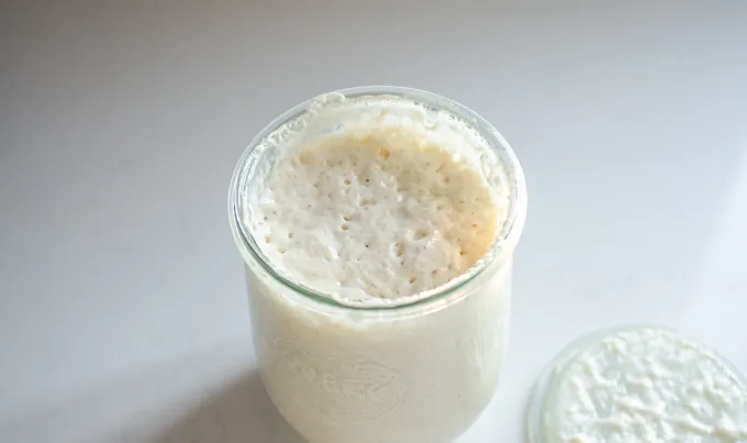A mature sourdough starter that’s been fed and is bubbly and active.' title='Sourdough Brioche