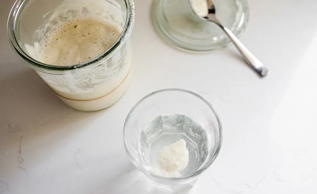Performing the float test on a sourdough starter to see if it’s ready to be used.' title='Sourdough Focaccia Recipe