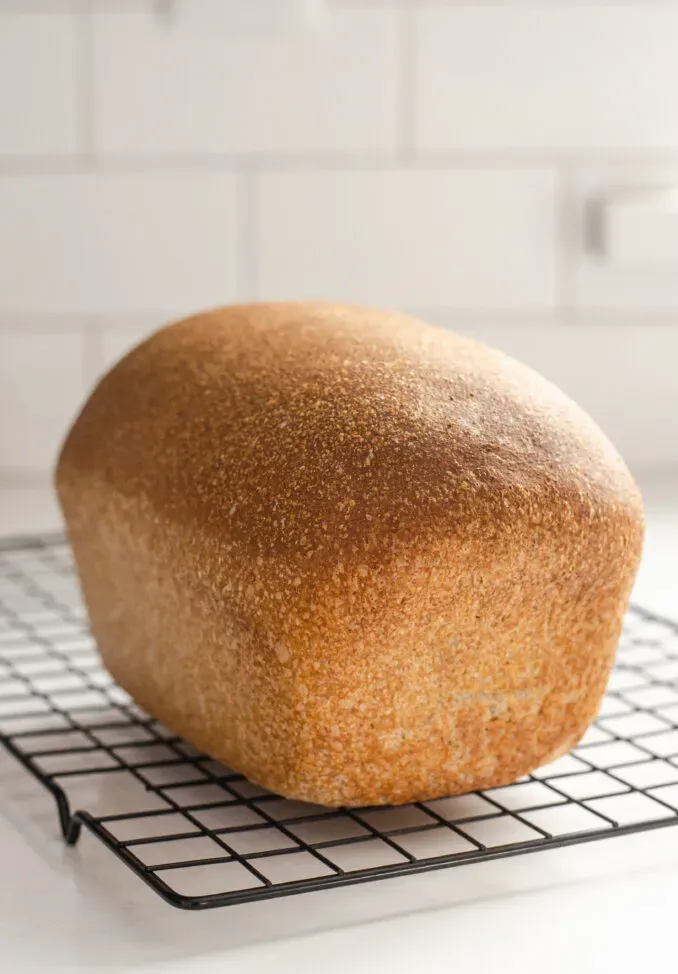 A baked loaf of healthy whole wheat sourdough sandwich bread on a black wire cooling rack.' title='Healthy Whole Wheat Sourdough Sandwich Bread