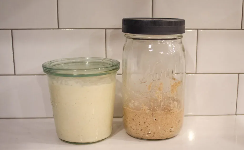 A white flour sourdough starter and a whole wheat flour sourdough starter side by side for comparison.' title='Healthy Whole Wheat Sourdough Sandwich Bread