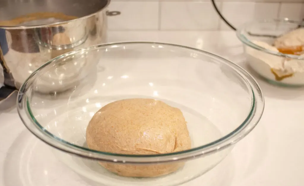 The ball of whole wheat sourdough dough in a large bowl ready for its first rise.' title='Healthy Whole Wheat Sourdough Sandwich Bread