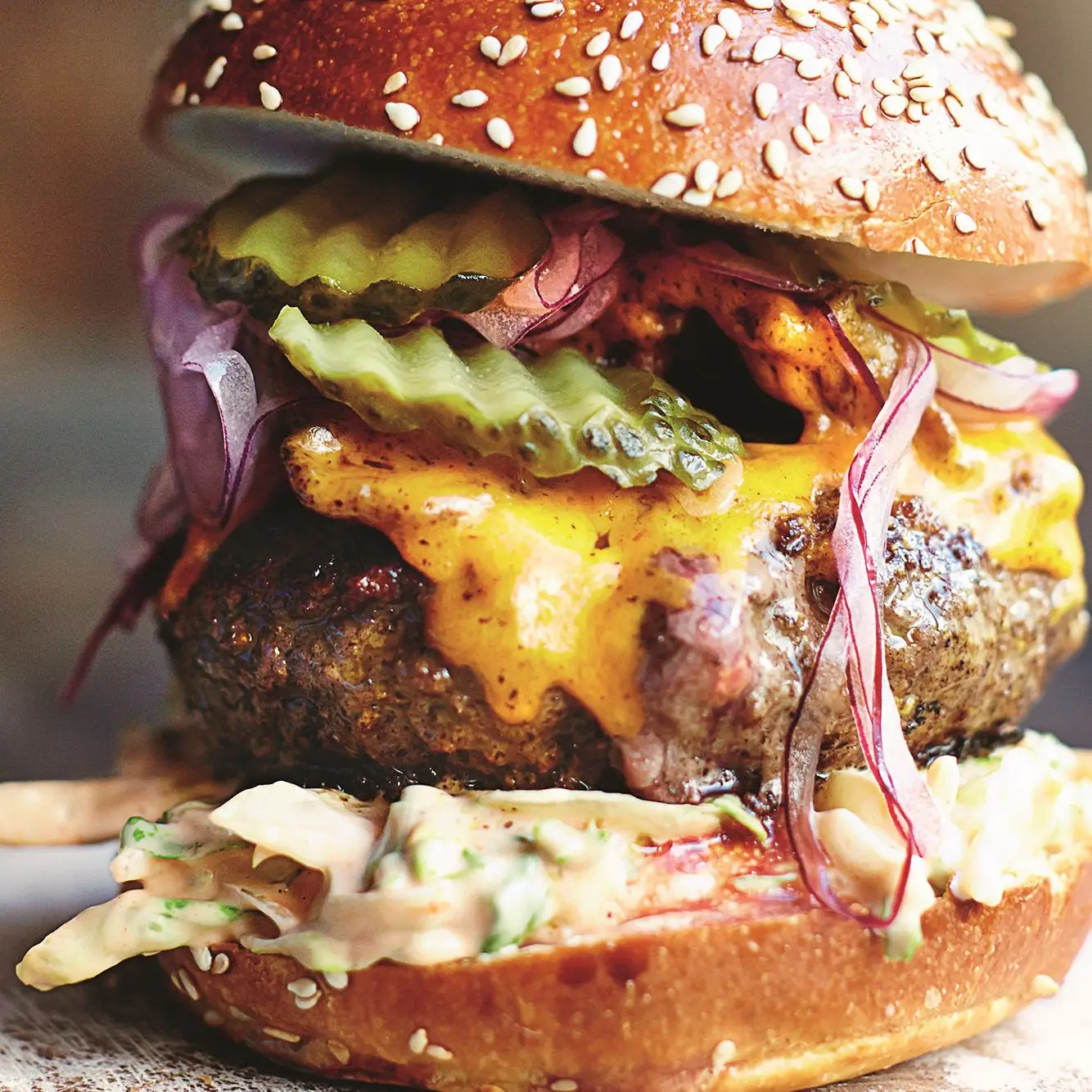 Burger de insanidade