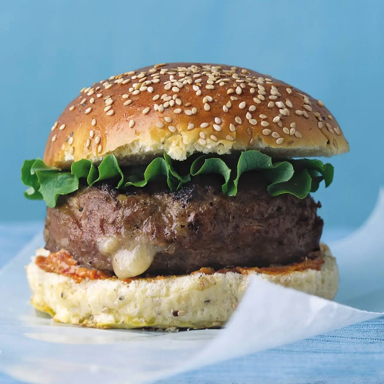 Turquia Cheddar Burgers