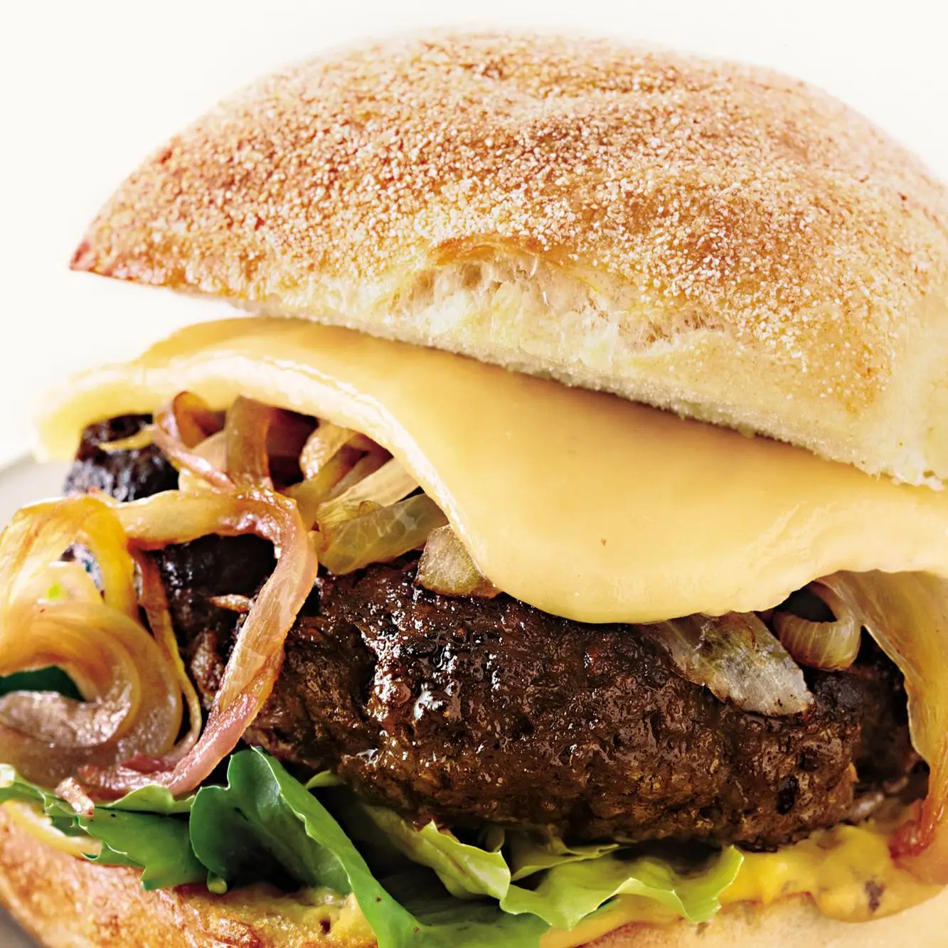 Bison Burgers com cebola Cabernet e Wisconsin Cheddar