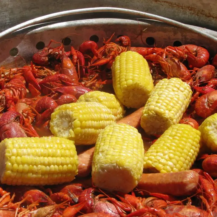 Limfos antiquados fervem