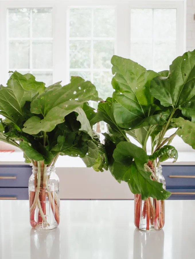 Stalks of rhubarb stored in a glass jar with water like a bouquet!' title='Strawberry Rhubarb Crumb Cake