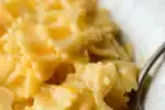 Easy Stovetop Macaroni and Cheese from Scratch!' title='Stovetop Macaroni and Cheese from Scratch
