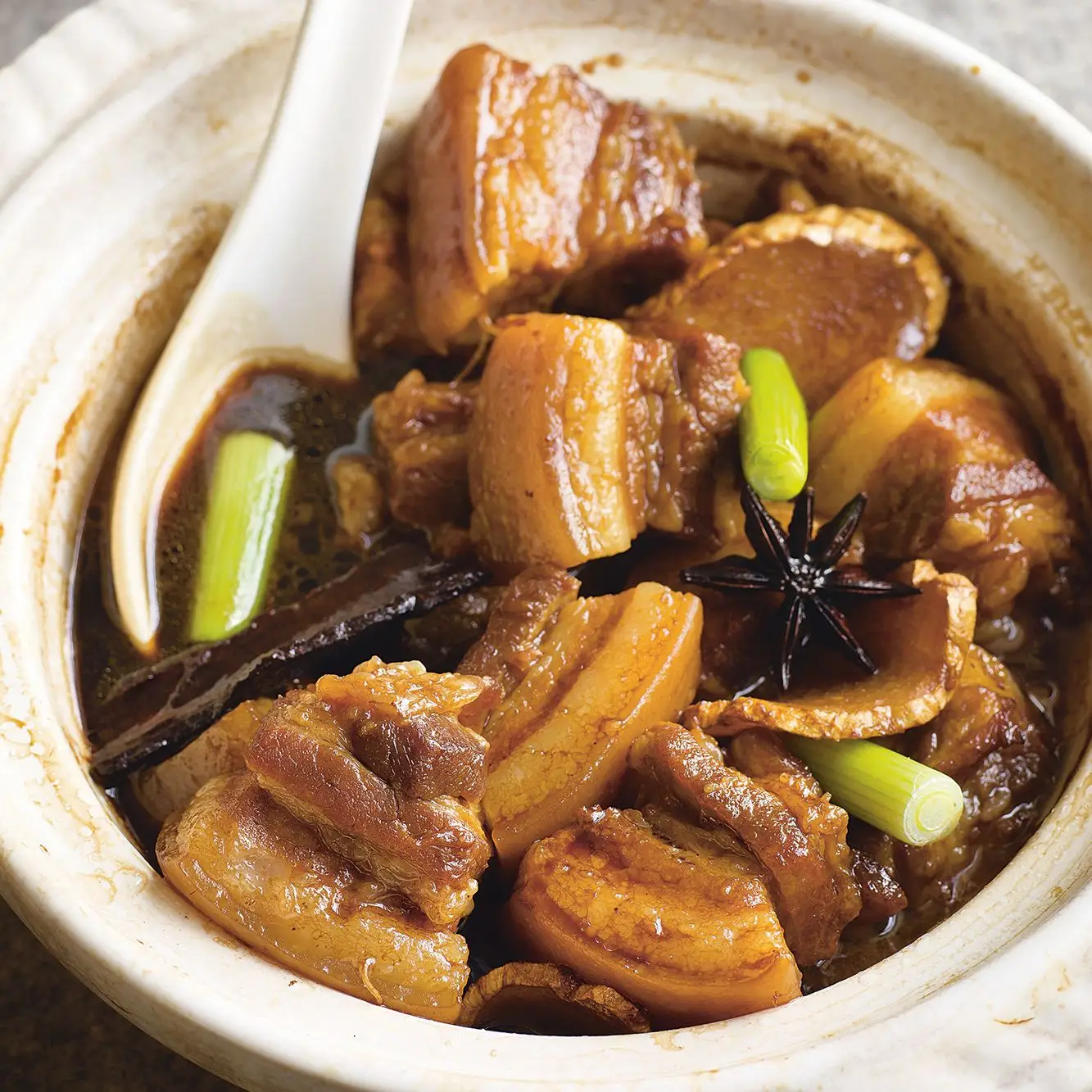 Carne de porco com salto vermelho (Hong Shao Rou)