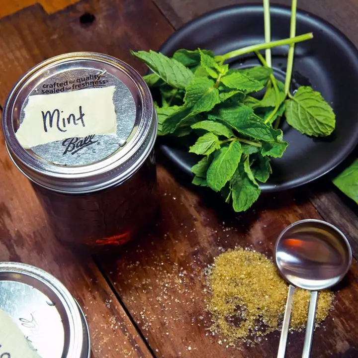Mint simple syrup