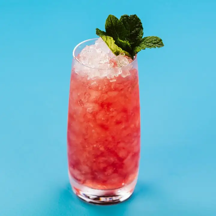 red-colored Gage Cobbler in a highball glass with crushed ice and a mint garnish