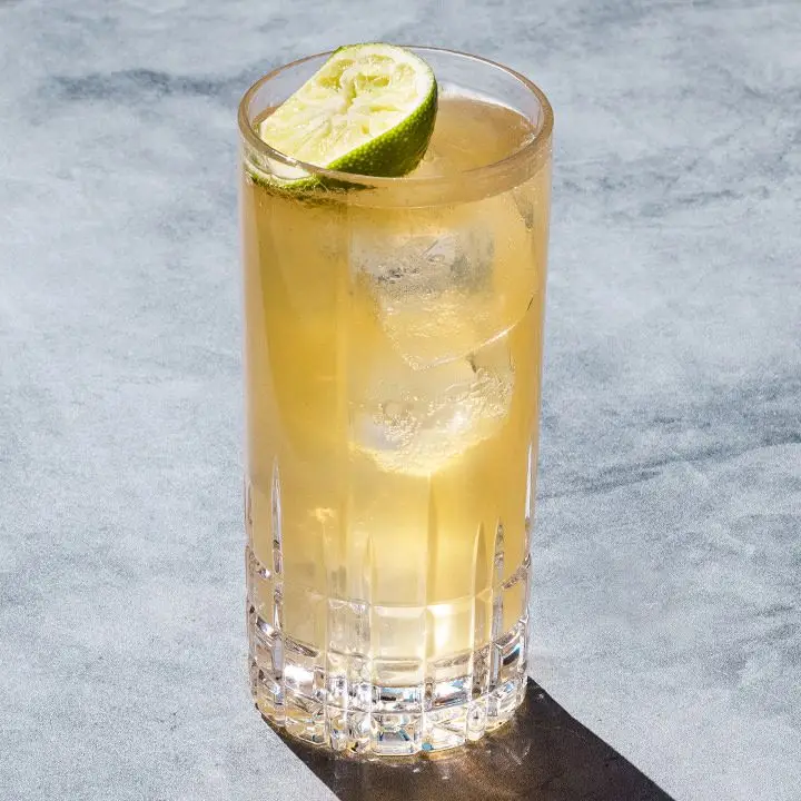 Bourbon Rickey cocktail