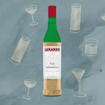 Luxardo maraschino liqueur bottle with cocktail illustrations against blue background