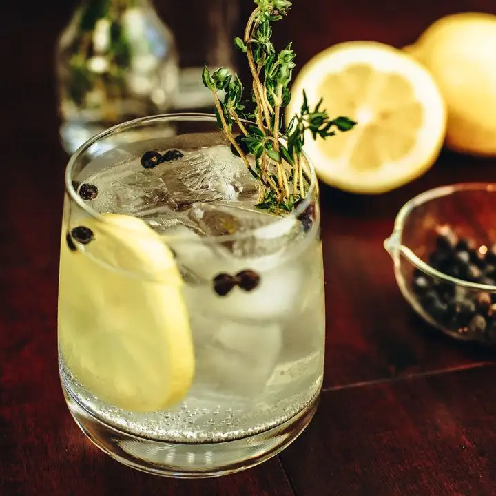 spanish gin & tonic cocktail