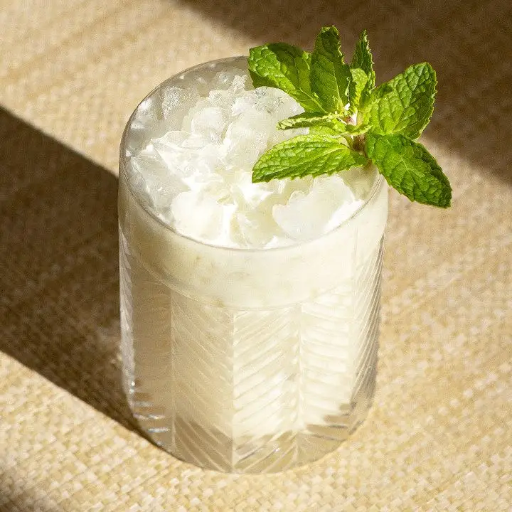 Pina Verde cocktail with mint sprig garnish