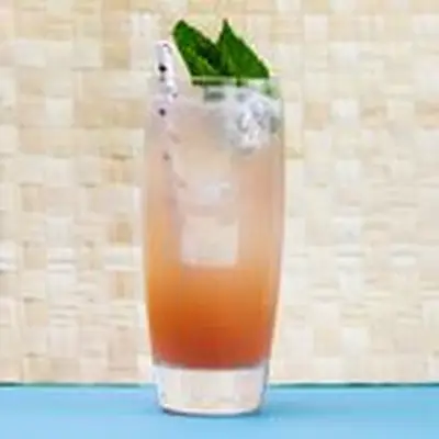 sea breeze cooler cocktail with straw and mint garnish