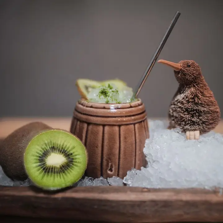 Bird Kiwi