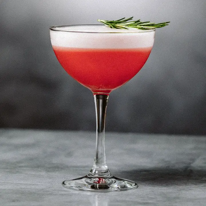 Winter Sour cocktail