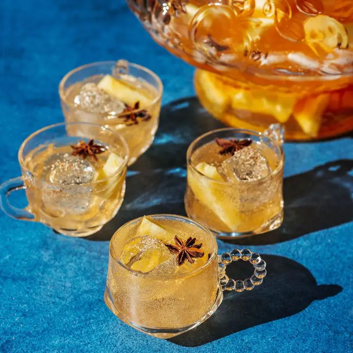 Champagne Holiday Punch