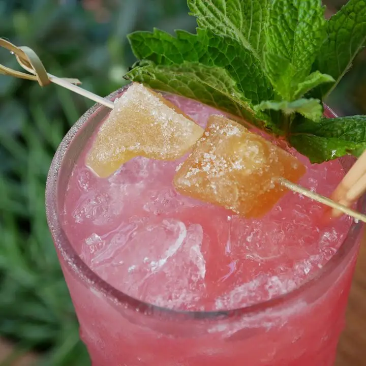 Dead Sea Mule cocktail