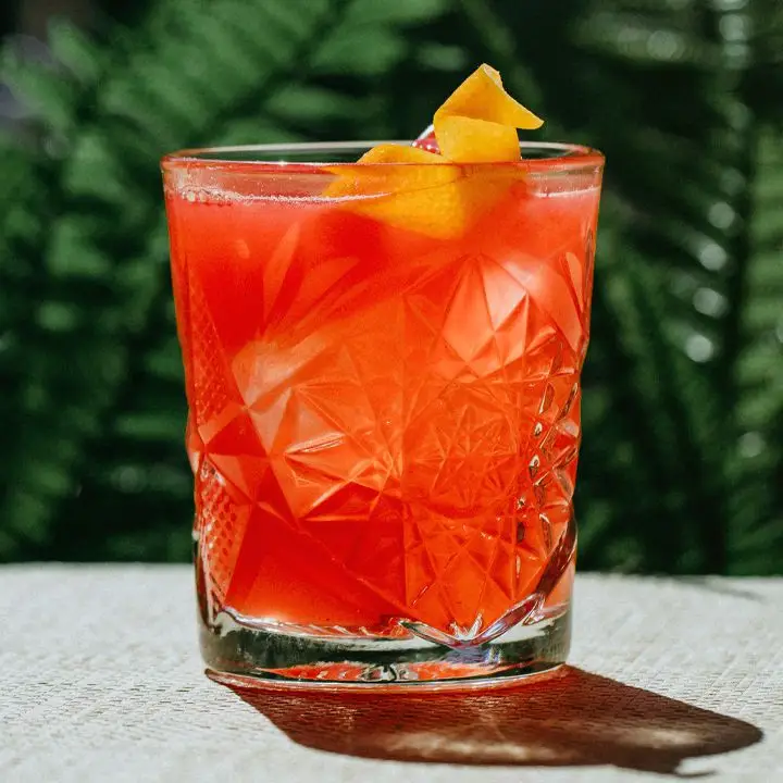 Watermelon Mojito cocktail