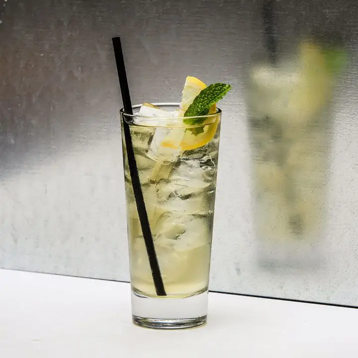 highball mizuwari cocktail in a highball glass with ice, garnished with a lemon slice, mint leaf and black straw