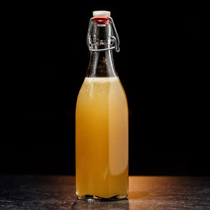 Lacto-Fermented Apple Sherbet