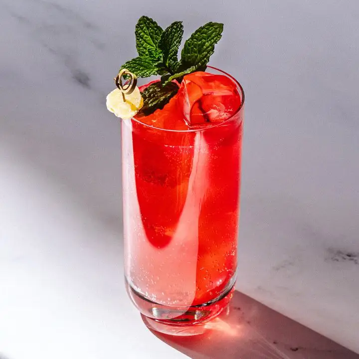 bright-red Dead Sea Mule cocktail in a Collins glass, garnished with a mint sprig and candied ginger on a skewer