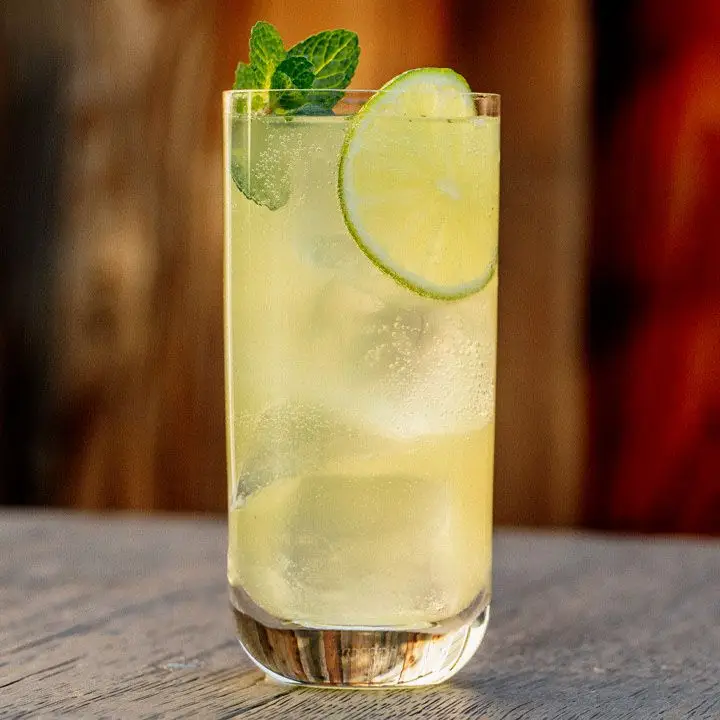 A tall highball glass with thin walls holds a light golden, bubbly drink. A number of large ice cubes, a wheel of lime and a sprig of mint finish the drink. The surface below is hard wood. 
