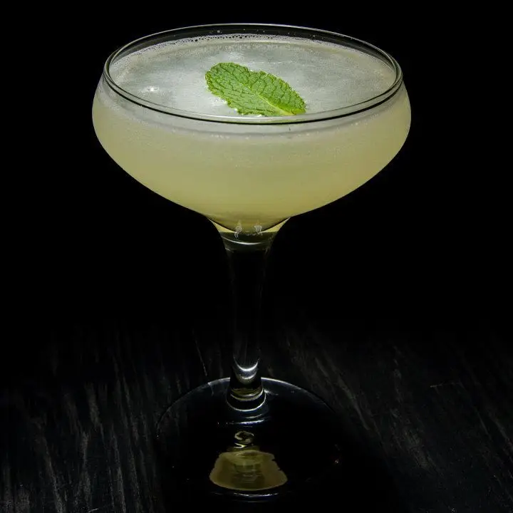 light green South Mint 75 cocktail in a coupe glass, garnished with a single mint leaf