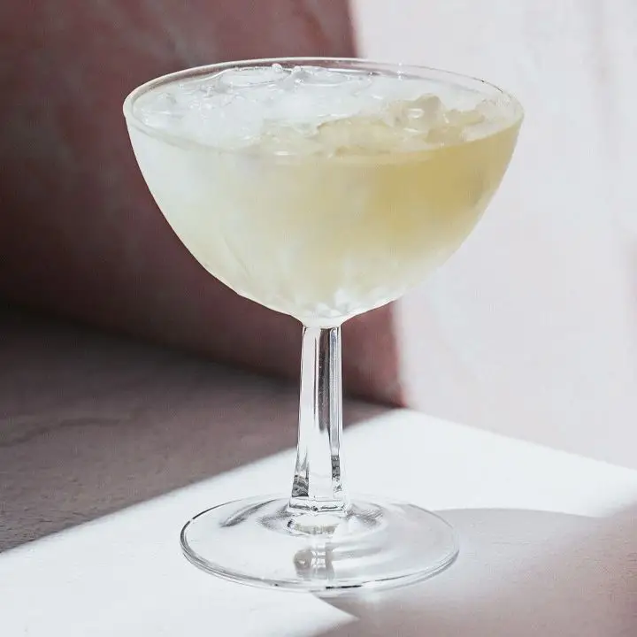 The Sun Also Rises cocktail