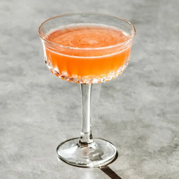 Scofflaw cocktail